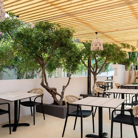 Physis Oikos Beachfront Lejlighed *