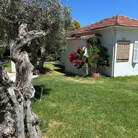 Physis Oikos Beachfront Skiathos by